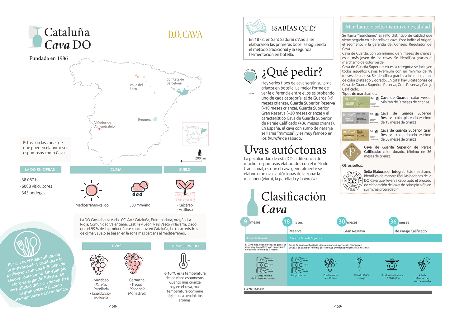 Vinalogando por España - La guía para entender de vinos en el país -
